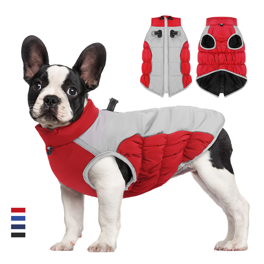 Winter Clothing For Dogs - Roupas de inverno para cães, roupas