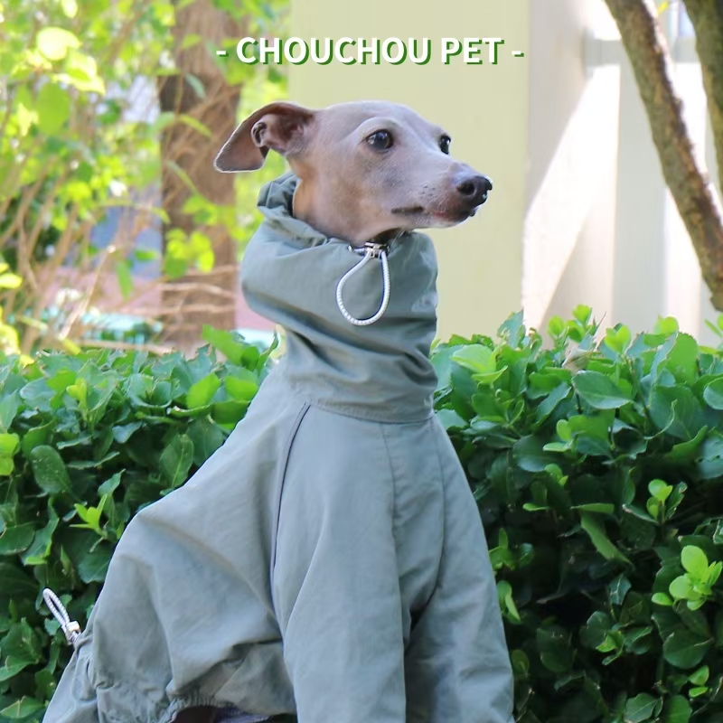 Winter Clothing For Dogs - Capa de chuva galgo italiano outono