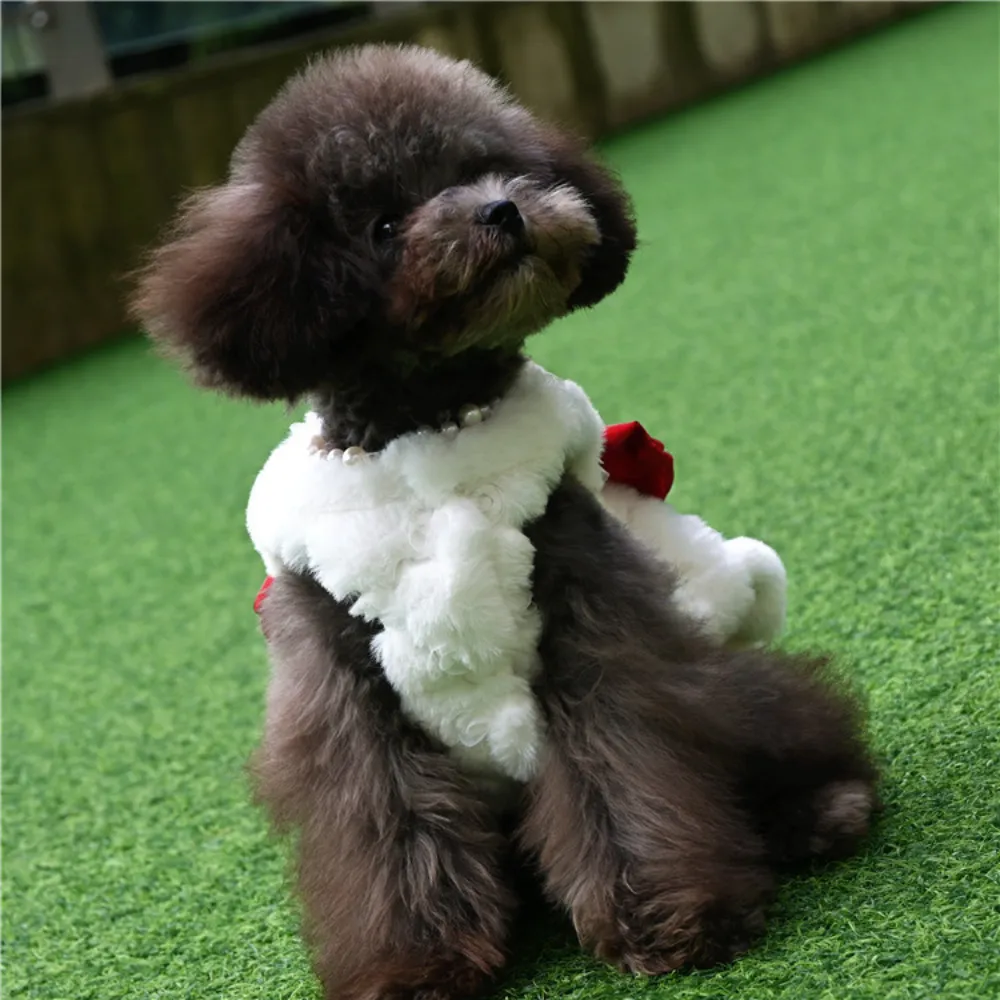 Winter Clothing For Dogs - Vestido de pele de coelho para
