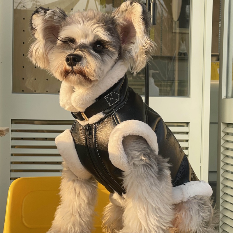 Winter Clothing For Dogs - Animal de estimação outono inverno veludo