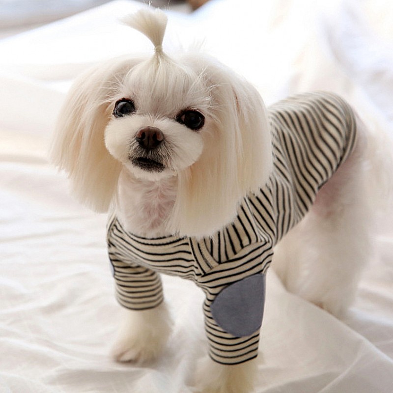Cão de estimação fino hoodies  - Winter Clothing For Dogs avaliação e preço