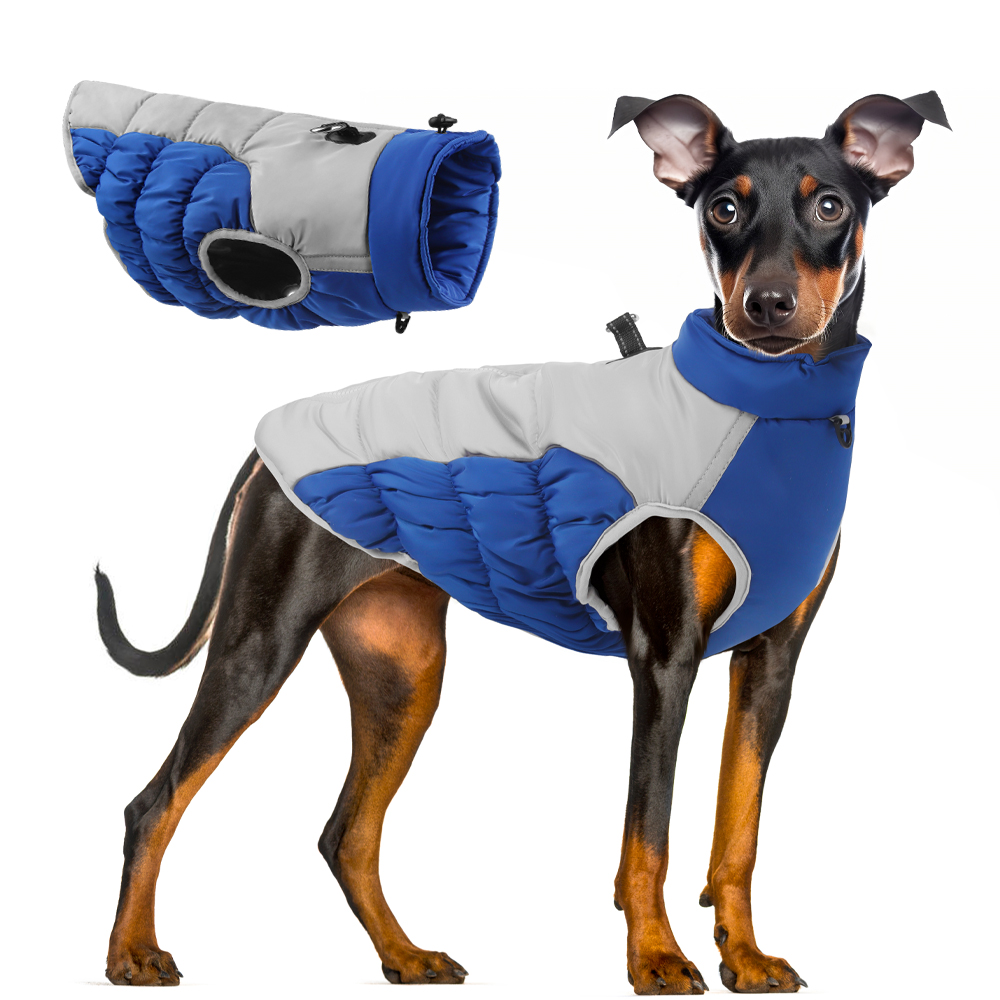 Roupas de inverno para cães, r - Winter Clothing For Dogs avaliação e preço