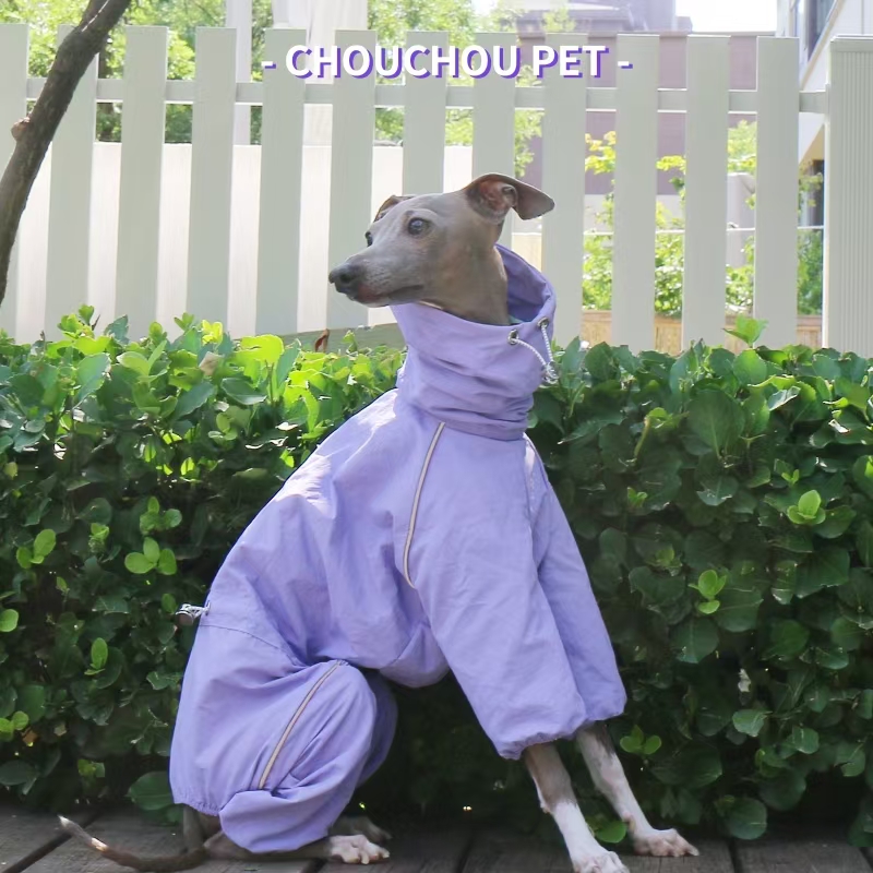 Capa de chuva galgo italiano o - Winter Clothing For Dogs avaliação e preço