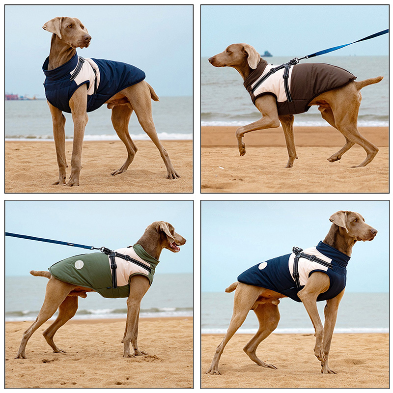 Colete quente para cães com ar - Winter Clothing For Dogs avaliação e preço