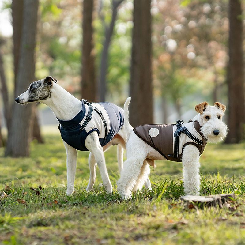 Colete quente para cães com ar - Winter Clothing For Dogs avaliação e preço