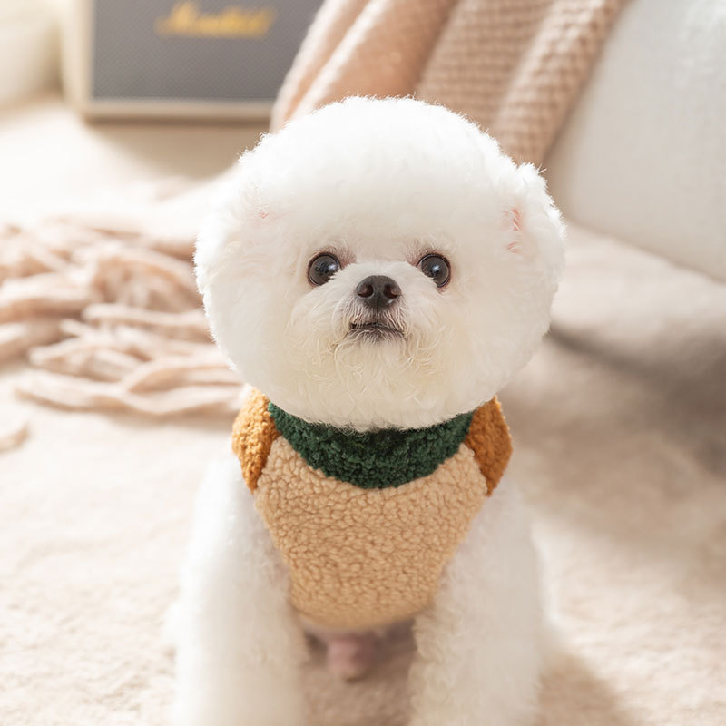 Cardigan de duas pernas para c - Winter Clothing For Dogs avaliação e preço