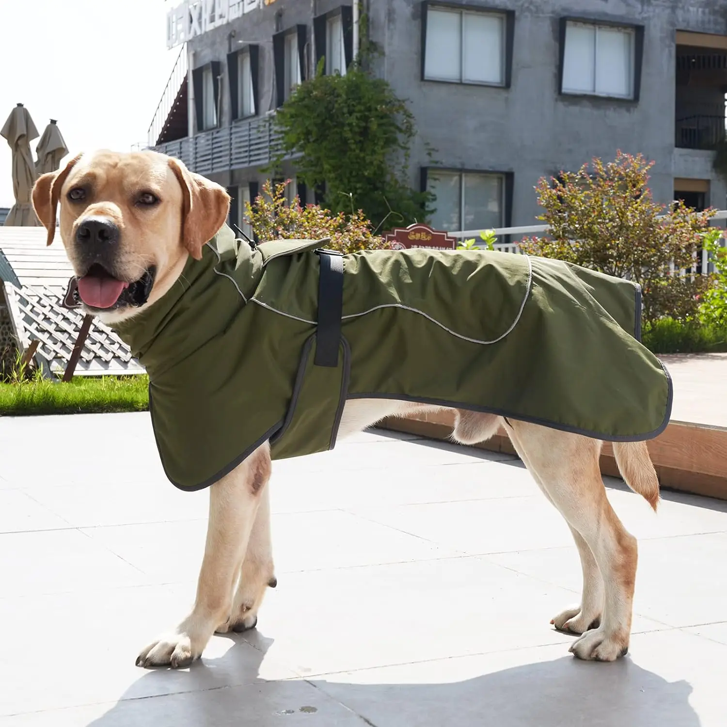 Roupas de inverno ajustáveis à - Winter Clothing For Dogs avaliação e preço