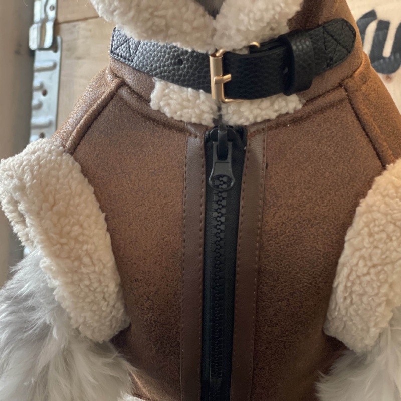 Animal de estimação outono inv - Winter Clothing For Dogs avaliação e preço