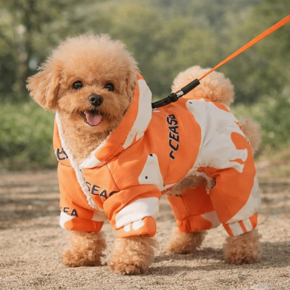 Bonito quente cão roupas de in - Winter Clothing For Dogs avaliação e preço