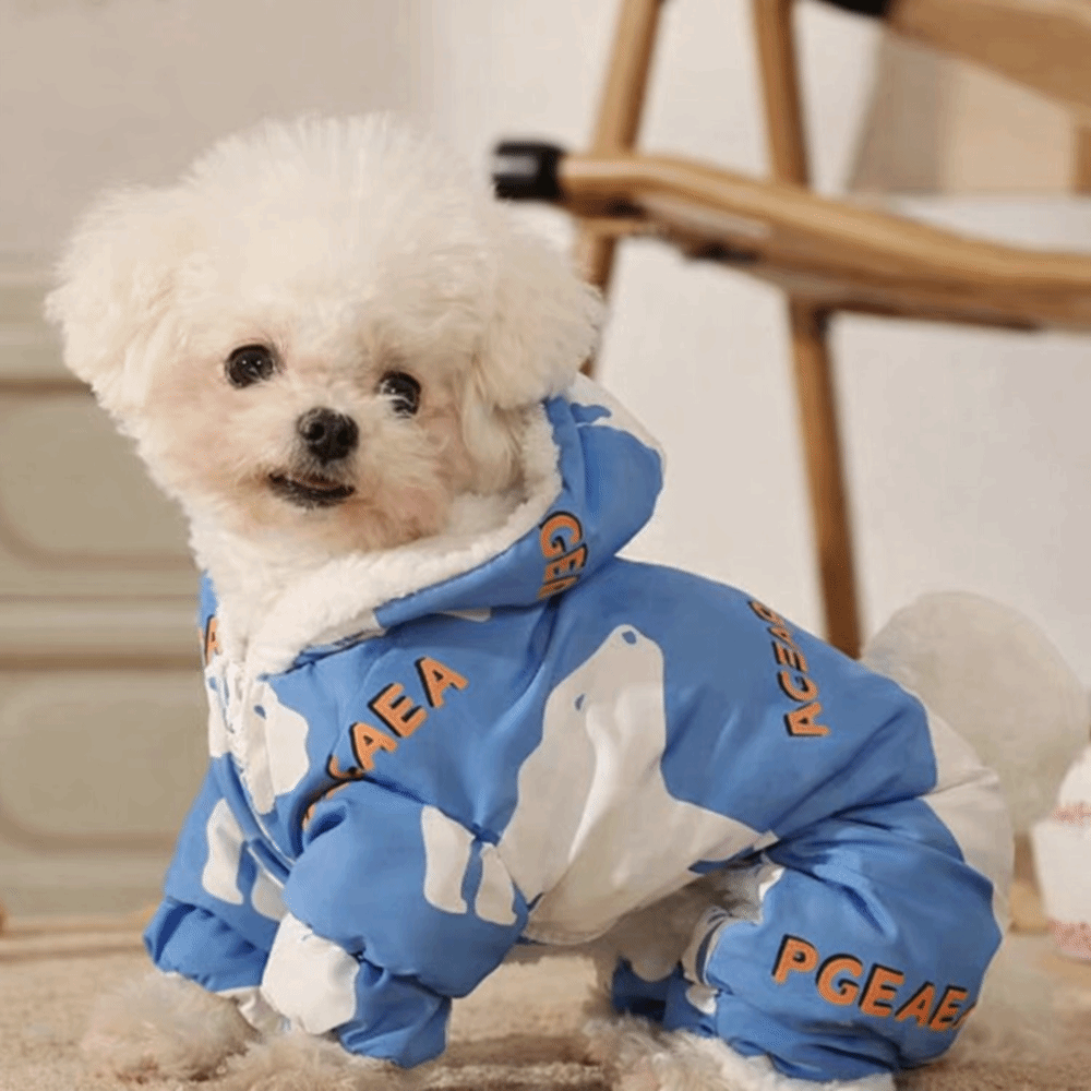 Bonito quente cão roupas de in - Winter Clothing For Dogs avaliação e preço