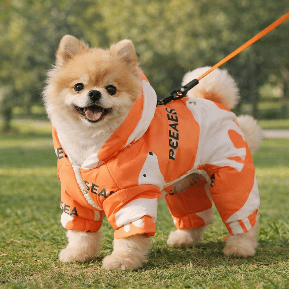 Bonito quente cão roupas de in - Winter Clothing For Dogs avaliação e preço